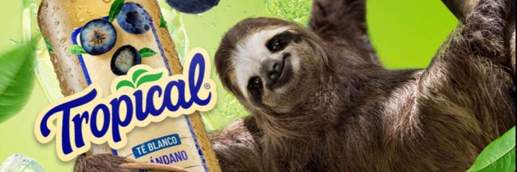 Campaña Influencers